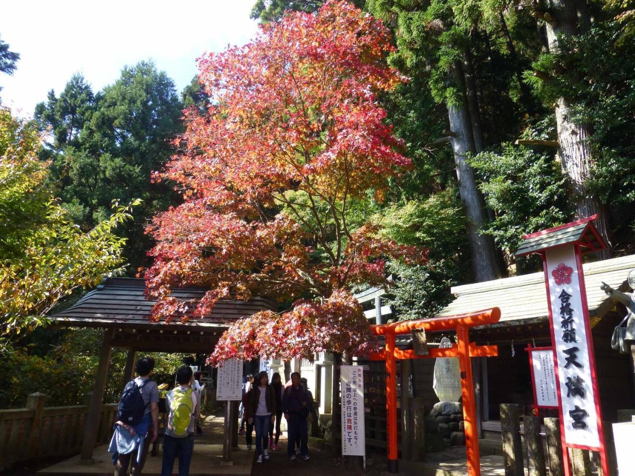 Togakubo Hotel Isehara Екстериор снимка